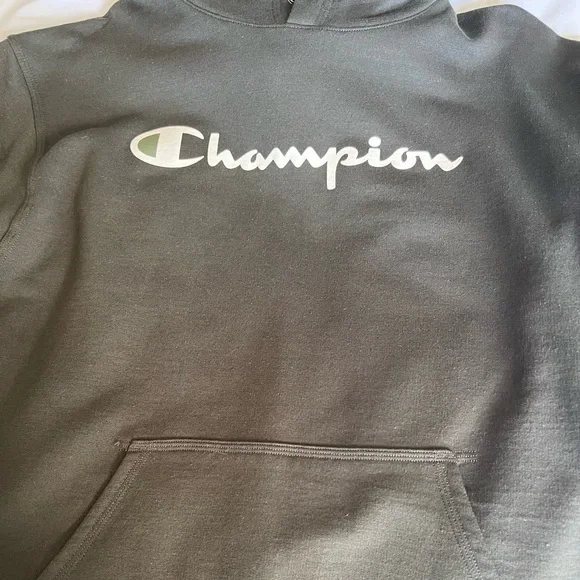 Champion Men’s Champion Hoodie Green Color Size Large - Picture 2 of 9